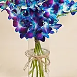 Mesmerizing Blue Orchids