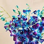 Mesmerizing Blue Orchids