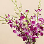 Pink Orchids in a Vase