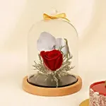 Red Forever Rose In Glass Dome With Mini Mousse Cake