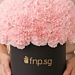 Pink Carnations Luxe Arrangement