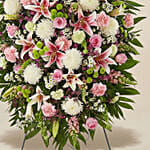 Exotic Flowers