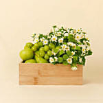 Green Serenity Basket