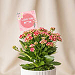 Pink Kalanchoe Plant in White Ceramic Vase