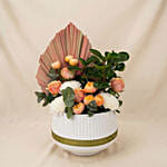 Champagne Rose & Peperomia Garden Vase