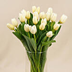 20 White Tulips