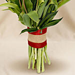 Twenty Five Vibrant Tulips Bunch