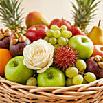 Exotic Fruits Basket Big