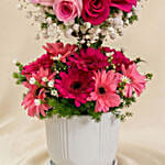 Mesmerised Pink Flowers