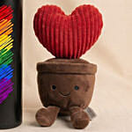 Rainbow Heart Temprature Bottle with Plush