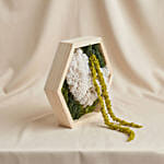 Hexagon Wooden Preserved Moss Wall Art Frame