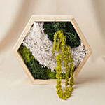 Hexagon Wooden Preserved Moss Wall Art Frame