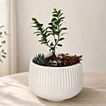 Bonsai Garden