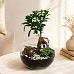 Bonsai Pot Paradise