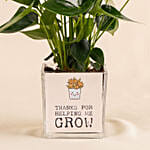 Thanks For Helping Me Grow - Potted Plant Gift