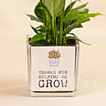 Potted Peace Lily Gift for Dad