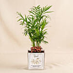 Dad's Office Oasis - Miniature Palm & Fittonia Gift