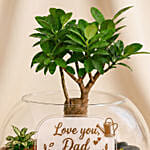 Fathers Day Bonsai Plant Gift