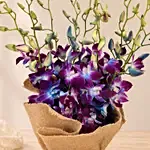Gorgeous Orchids Arrangement