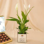 Father's Day Peace Lily and Chocolate Truffle Set