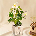 Super Dad Chocolate Cake & White Anthurium Plant Set