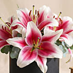 Pretty Pink Lilies