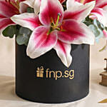 Pretty Pink Lilies