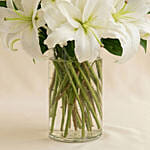 Serene Arranagement Of White Lilies