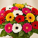 20 Summery Gerbera Blooming Bouquet