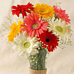 8 Mixed Brilliance Gerbera Vase