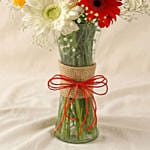 8 Mixed Brilliance Gerbera Vase