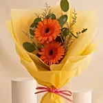 Cherry Red Gerbera Bouquet