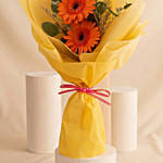 Cherry Red Gerbera Bouquet