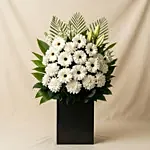 Daisy Condolence Stand
