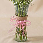 Gerberas White and Pink Carnations In Glass Vase