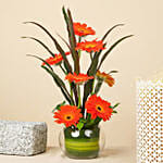 Orange Gerbera Arrangement