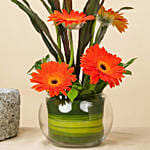 Orange Gerbera Arrangement