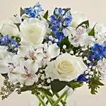 Blue And White Floral Bunch