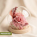 Enchanted Pink Preserved Rose Glass Dome