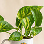 Money Plant In Happy Birthday Mug
