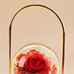 Red Rose Glass Sphere LED Lamp