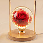 Red Rose Glass Sphere LED Lamp