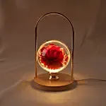 Red Rose Glass Sphere LED Lamp