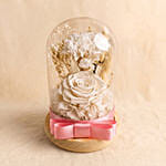 Vday White Forever Roses in Dome