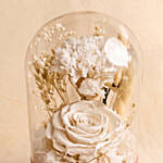 Vday White Forever Roses in Dome