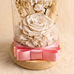 Vday White Forever Roses in Dome