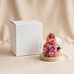 Enchanted Pink Preserved Rose Glass Dome