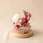 Enchanted Pink Preserved Rose Glass Dome