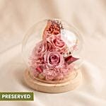 Enchanted Pink Preserved Rose Glass Dome