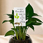 Money Plant Round Vase for Teacher's Day